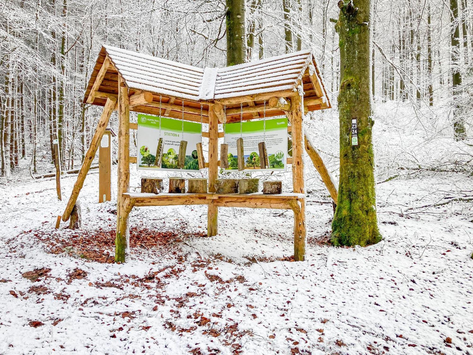 Ferienwohnung Alte Schule Züschen-Winterberg Exterior foto